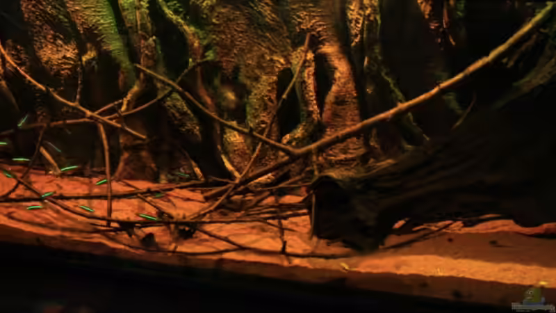 Hier auch in einer anderen Licht Simulation, dimmbar mit LEDs von Florian Bandhauer (3)