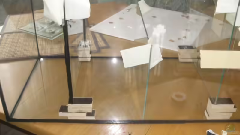 Hier baute ich mein 160 Liter Filterbecken von Ronny Derndorfer (24)