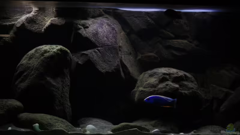 Hier Beginn der ??bergang von Tropentag zu normal Simulation von Florian Bandhauer (7)