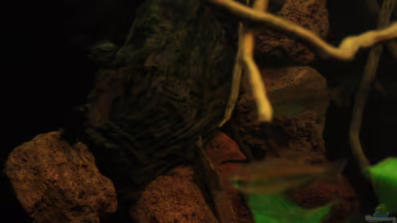 Hier Bild 2 dazu ! von Bämbel (41)