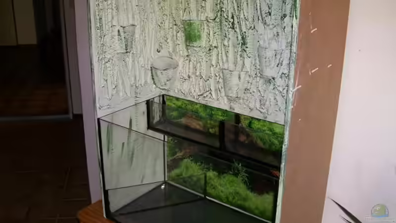 Hier das AQ mit dem Paludariumaufsatz. von Theo Heimann (3)
