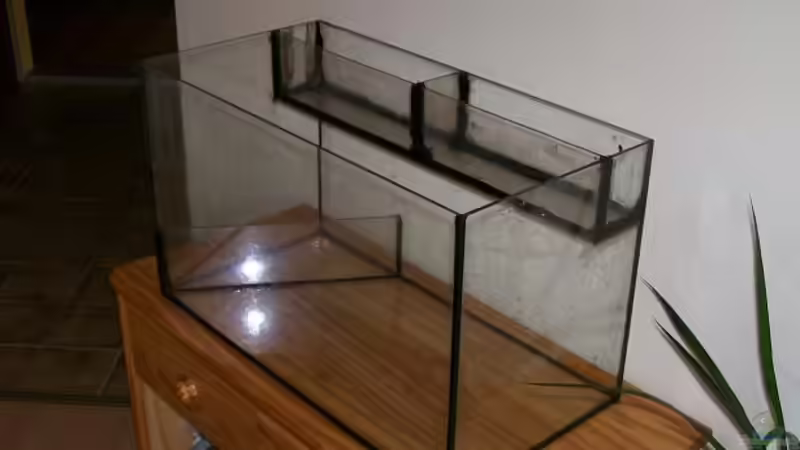 Hier das AQ mit Terrasse und Pflanzenkasten. von Theo Heimann (2)