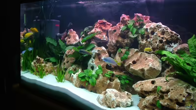 Hier der Blick von rechts  von Martin Priemetshofer (2)