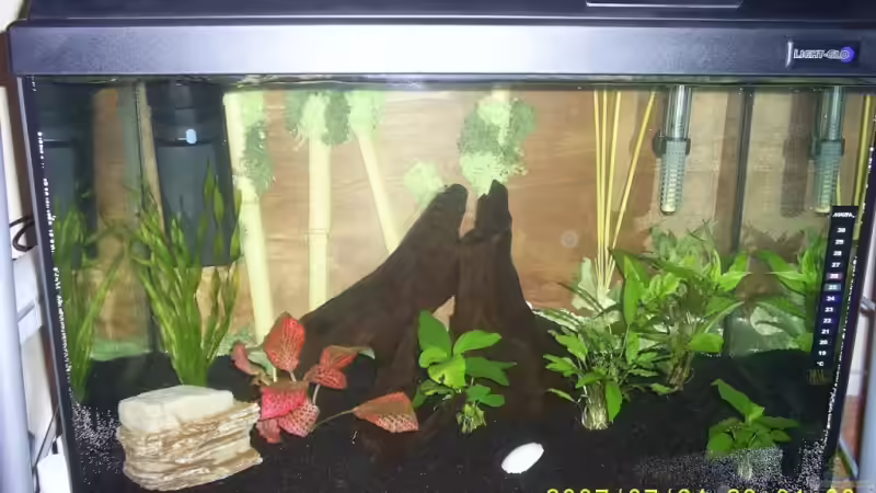 hier die erwähnte Hintergrundkulisse von Cathrin Krause (2)