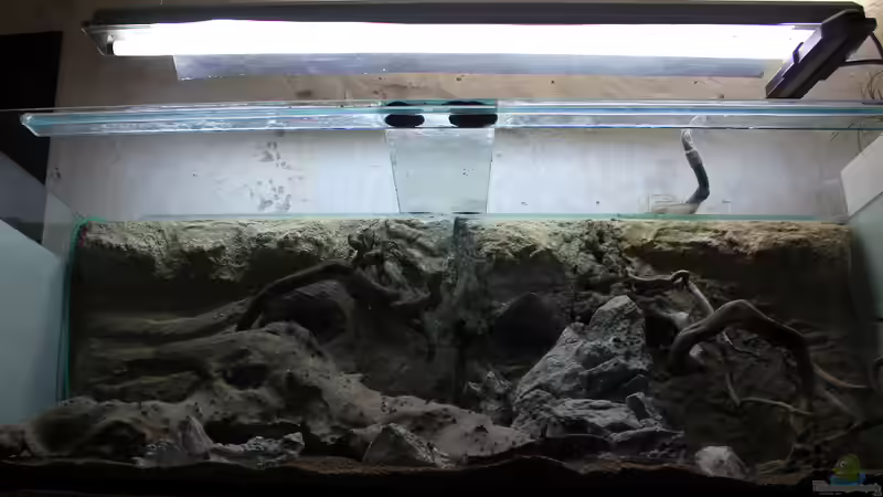 hier die Grundausstattung(hardscape) von Falk (21)