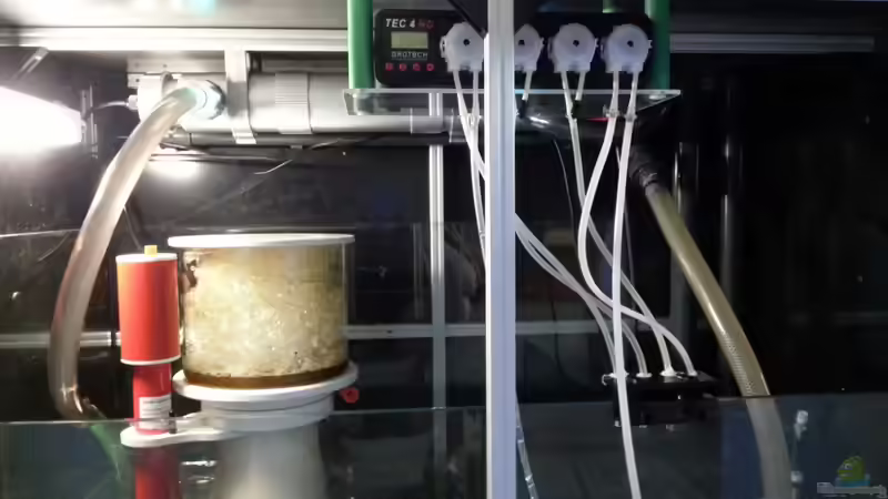 Hier die UV Lampe ! und rechts oben habe ich eine Dosieranlage vom grotech Instaliert von urbi (76)