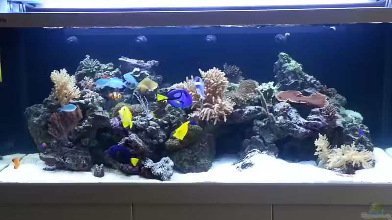 Hier die Vorderansicht ! von urbi (99)