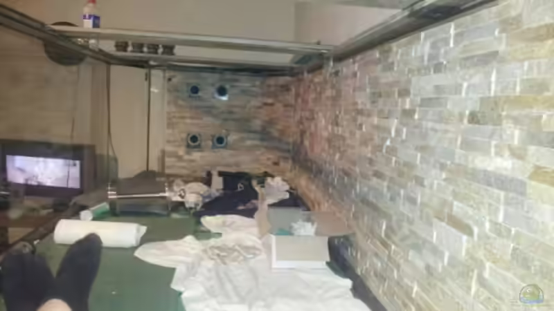 Hier ebenfalls beim einkleben von Kenno (8)