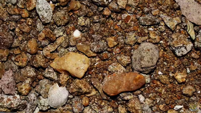 Hier eine Probe von - Ndomo Point - Likoma von Florian Bandhauer (52)