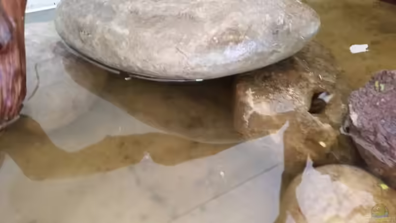 Hier entsteht eine Höhle von southheart (11)