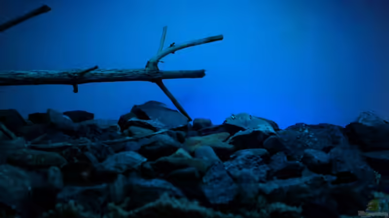 hier fehlen noch Kalksandsteine, die im Vergleich zum Original die gelbliche Farbe von Falk (9)