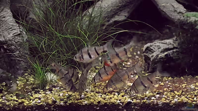 Hier gibt´s was zu futtern von Matthias Funke (7)