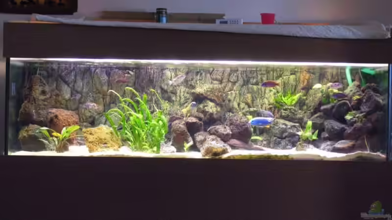 hier in voller Beleuchtung von Jan Kadletz (2)