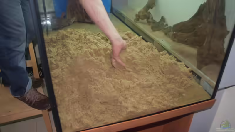 Hier ist der Aufbau der Rückpartie gut zu erkennen. von Rheinländer (28)