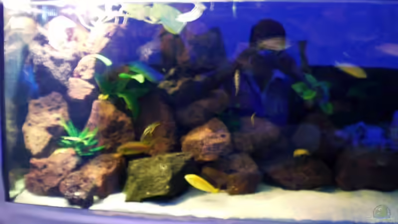 hier ist der sonnenaufgang zu sehen von Ismail Korkmaz (8)