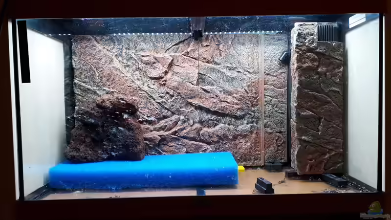 Hier ist die Filtermatte als Unterbau gut zu erkennen. von NiRo (5)