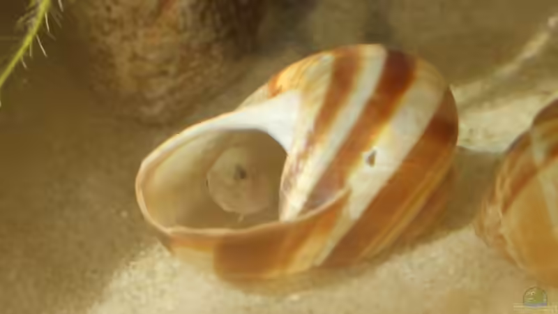 ´Hier kann ich mich verstecken´ von Stefan Hartl (3)