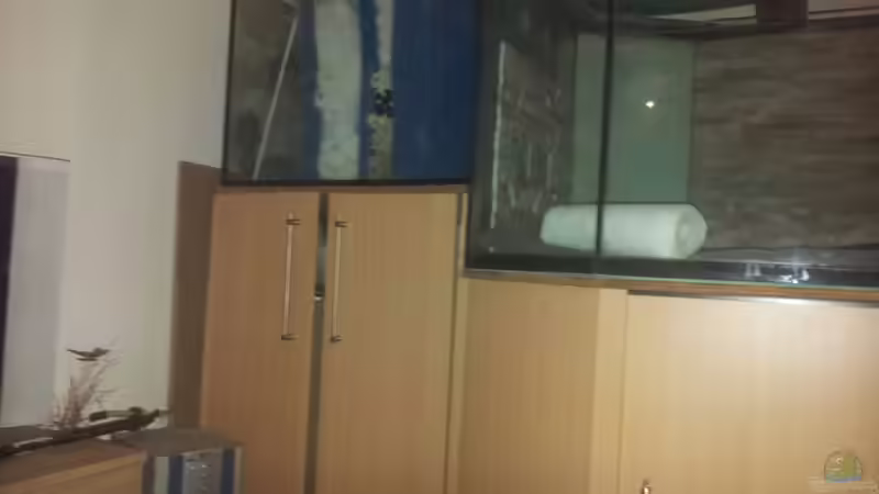 Hier kann man den Filter in der Aufbauphase erkennen, unten drunter ist ein Waschbecken von Kenno (9)