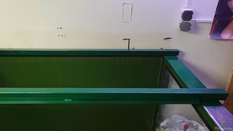 Hier kommen die Filterbecken drauf von kellerkind (33)