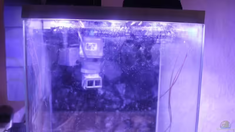 Hier kommt die Farbe relativ natürlich rüber von chrisi01 (3)