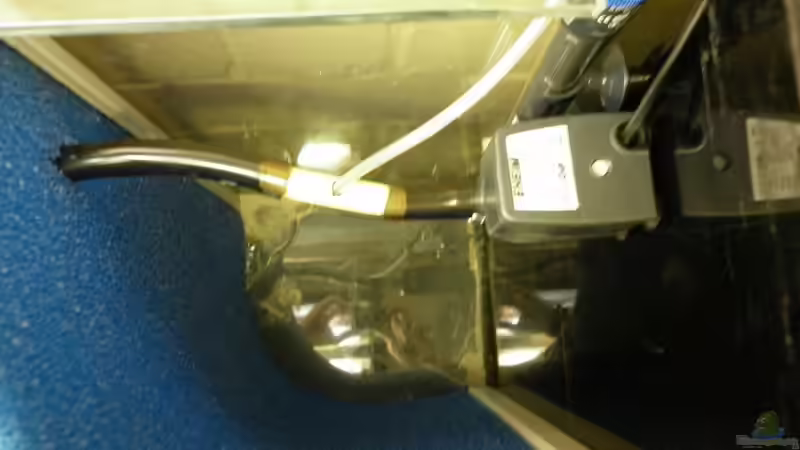 Hier kommt noch etwas Filterwatte rein... von Julien Preuß (46)