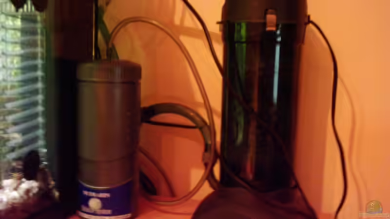 Hier läuft der Filter gerade im kleinen Becken ein. Das graue ist die CO2 -Anlage von Christine Schebesta (7)