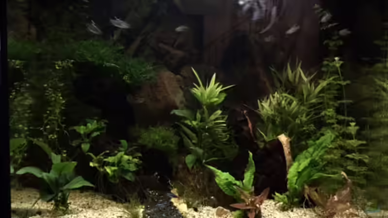 Hier mal ein kleiner Zwischenumbau...  von Tarmina (7)