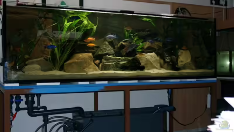 hier mal mit offenem Unterschrank von Mikey (2)