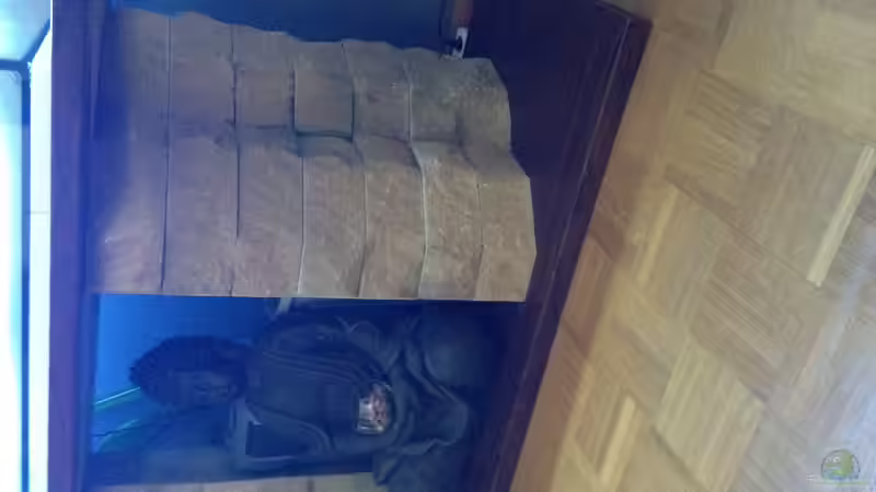 Hier mein Unterschrank mit dem Außenfilter von chewi86 (8)