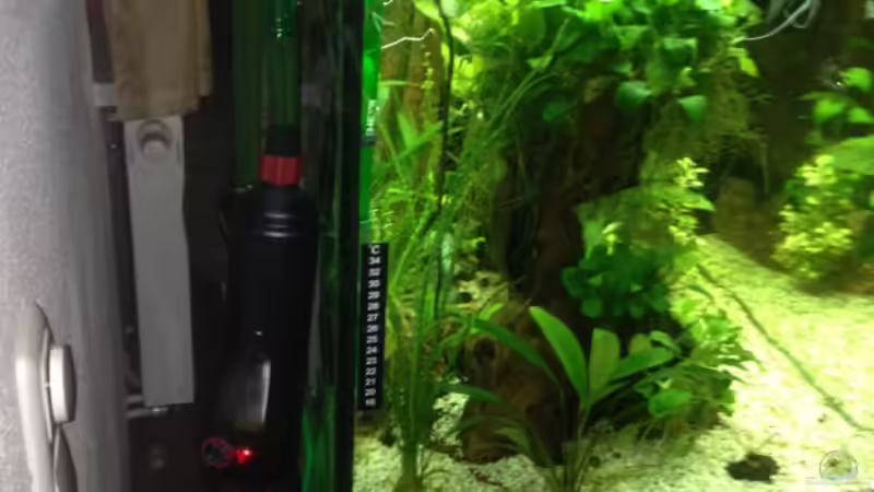 Hier meine Durchlaufheizung von Tarmina (22)