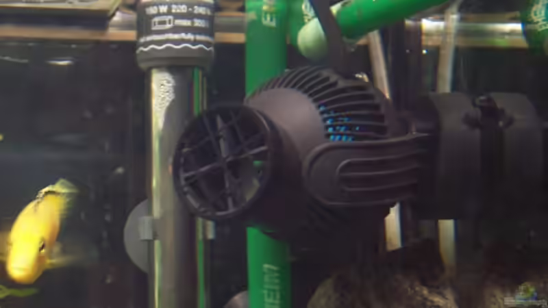 hier meine neue Strömungspumpe von TUNZE von lützkopf (12)