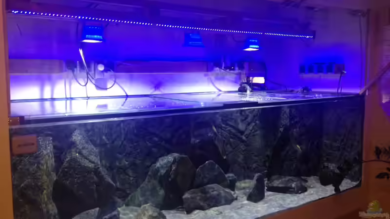 Hier mit Blaulichtbeleuchtung von Wimmer Jürgen (8)