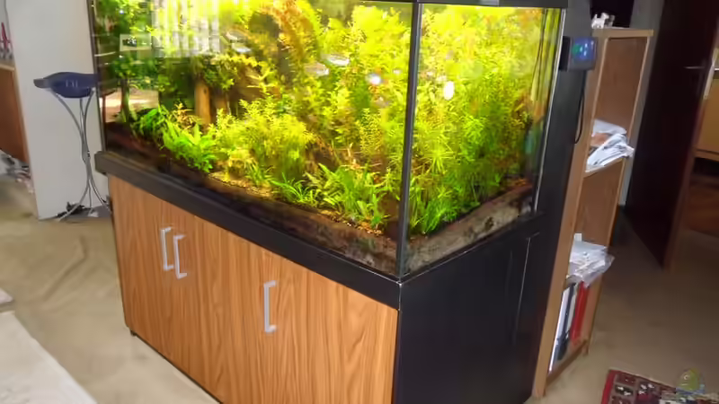 hier mit Sicht auf den verkleideten Raum rechts  hinter dem Becken mit ph controller evolution und auf Falten im Teppichboden herrührend von einem Wasserschaden! von Bungi (11)