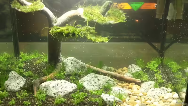 Hier noch ein Gesamtbild bei Nacht  von Blubberblubs (10)