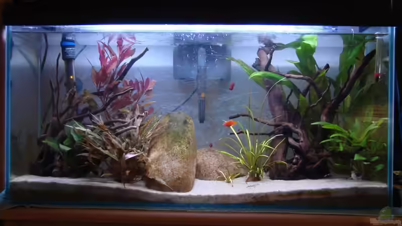 Hier noch ohne schwarze Pappe (Altes Layout) von Mitch22 (11)