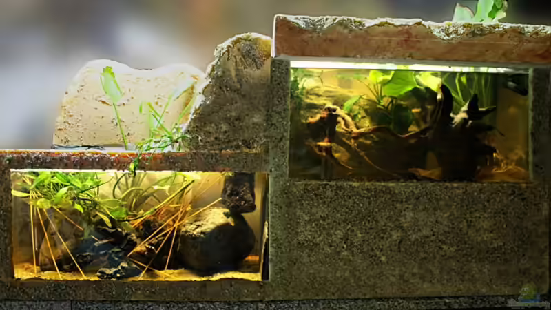 Hier Rückwand noch nicht vollständig besandet von Falk (1)