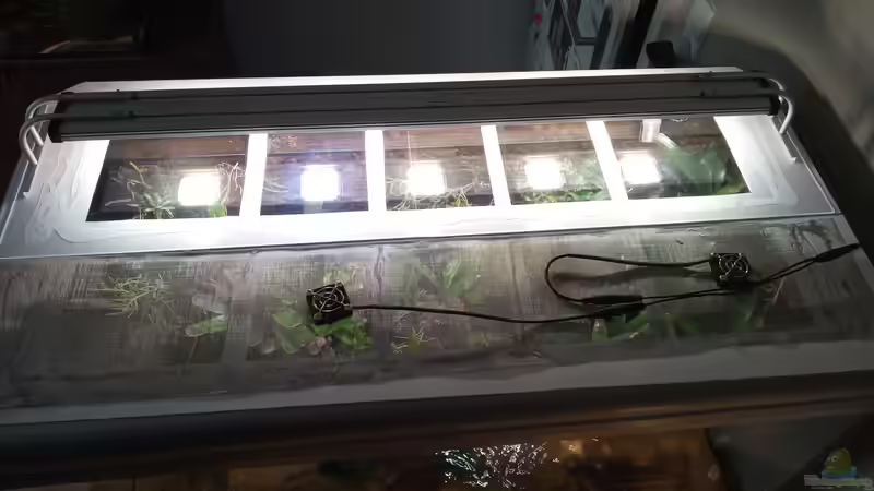 Hier sieht man die Abdeckung aus vomex  von Junglist (37)