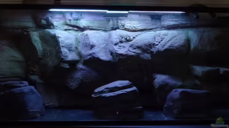 Hier sieht man die einzelnen Module und die Rückwand nach der installation  von TheToxicAvenger (17)