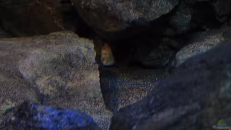 Hier sieht man einen der Zugänge zu den im Boden eingelassenen Bodenmodulen von Florian Bandhauer (38)