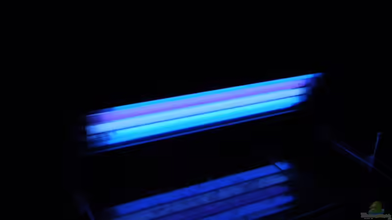 Hier sieht man gut die verschiedenen Lichtfarben von Microsash (23)