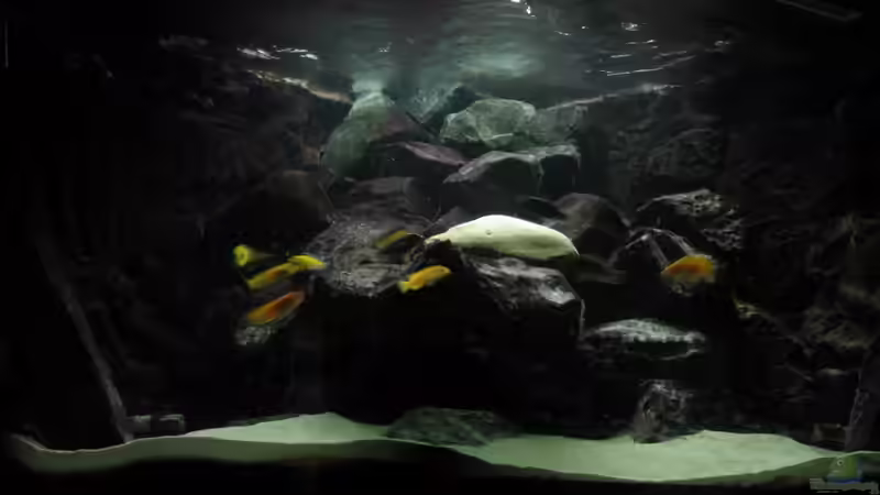 Hier sieht man schön die Wasserbewegung von HessiJames (21)