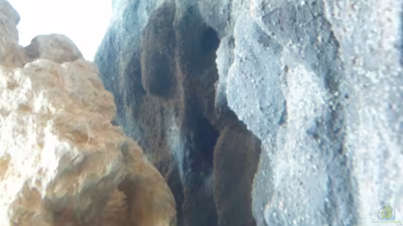 Hier sind die Löcher für die Wasserzufuhr ersichtlich von Roman Cavelty (8)