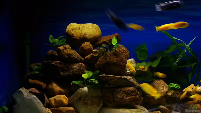 Hier sind im Becken Zu- und Ablauf intregiert von Hr.Lampe (26)