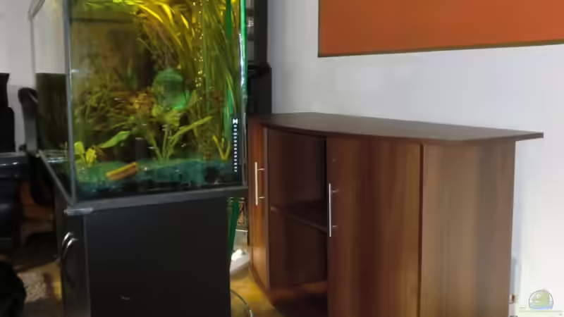 hier soll es hin von Sirko Fricke (5)