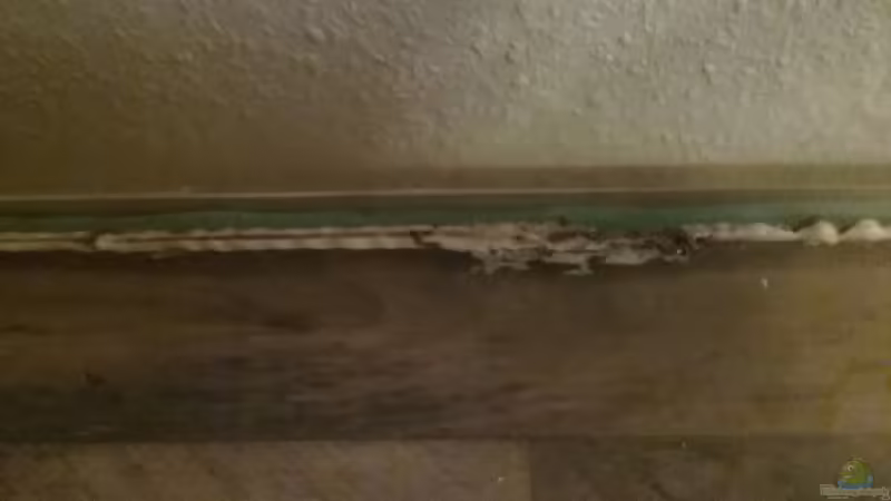 Hier soll Wasser rein? von Stefano83 (3)