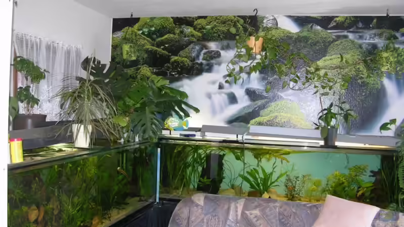 hier und in anderen Becken wuchsen die Riesen heran von dornwels (8)