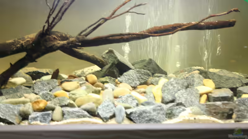 Hier war das Becken noch Towuti-Lake von Falk (3)