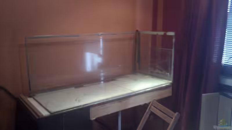 hier wird mein Traumbecken zerlegt / auf ein neues  von Solitary (30)