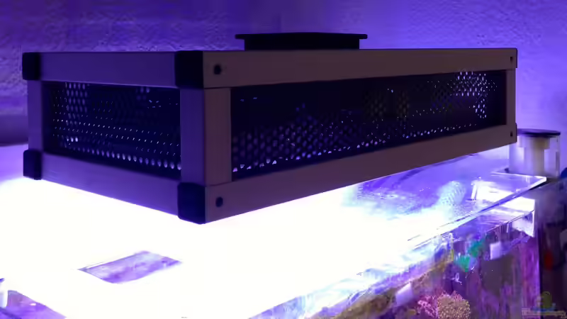 High Power LED  von Traum-Hobby.de (11)