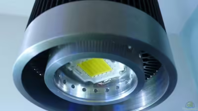 High Power LED Chip von aquabert (19)